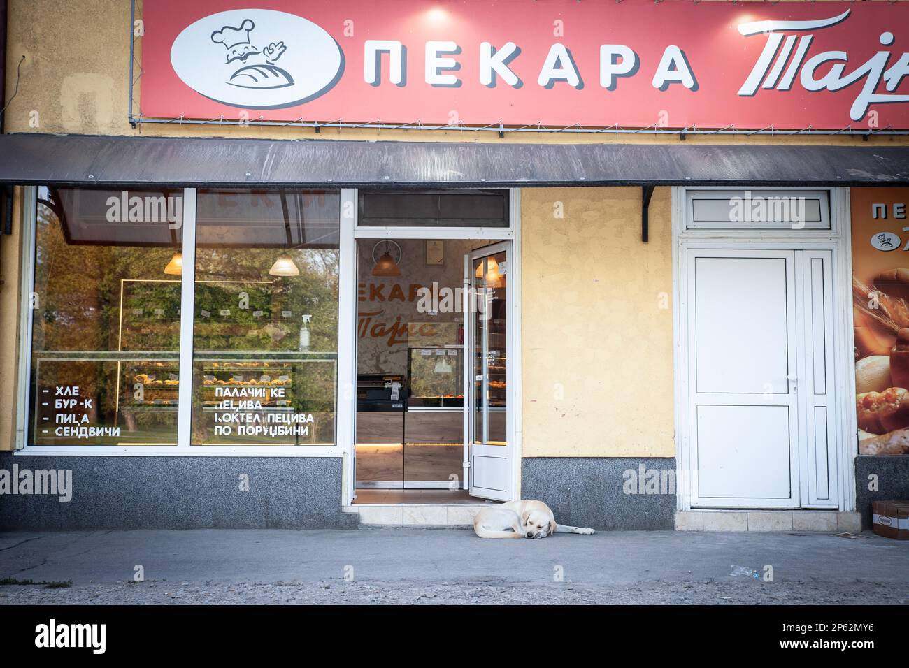 Bild einer serbischen Bäckerei in Jabuka, Serbien, auf dem Land, mit einer Lutalica, einem streunenden Hund, Davor zu schlafen Stockfoto