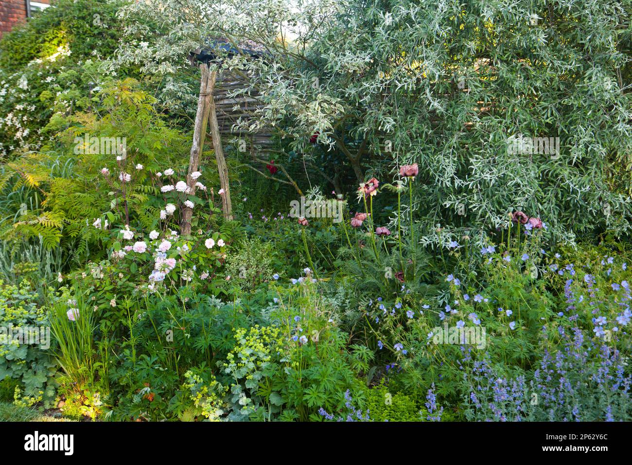 Perfekt gepflanzte Hütte Garten Blumengrenze mit Holzzaun und Trauerweide Stockfoto