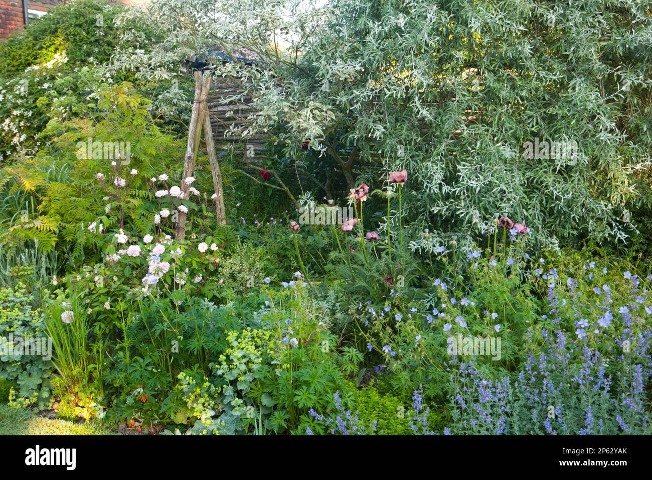 Perfekt gepflanzte Hütte Garten Blumengrenze mit Holzzaun und Trauerweide Stockfoto