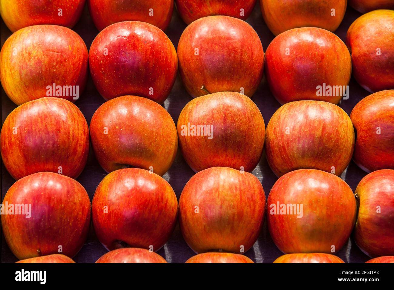 Äpfel, in La Boqueria-Markt, Barcelona. Katalonien, Spanien. Stockfoto
