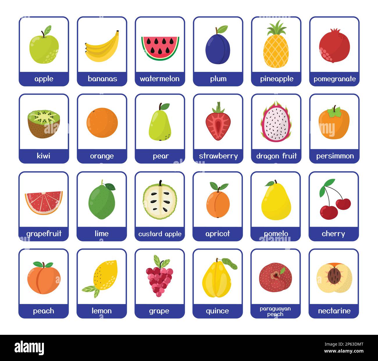 Früchte-Karteikarten-Paket. Große Sammlung mit verschiedenen Früchten Stock Vektor