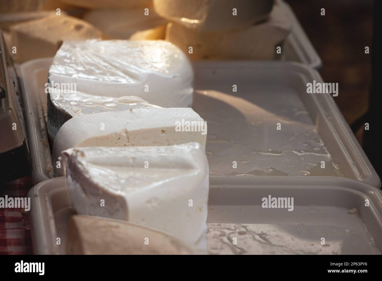 Ein Foto von Mladi Sir auf einem Tisch. Mladi Sir ist ein typischer serbischer Käse, eine frische Ziegen- oder Schafsmilch. Stockfoto