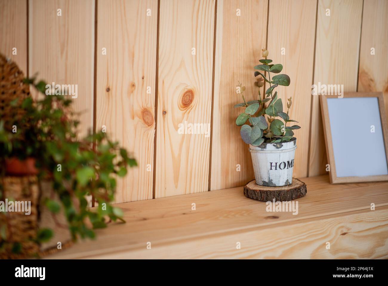 Auf einem Holzregal steht Eukalyptus in einem handgemachten Topf mit weißen Schrammen. Rustikaler, skandinavischer Stil im Inneren des Apartments. Botanisches Design. Stockfoto