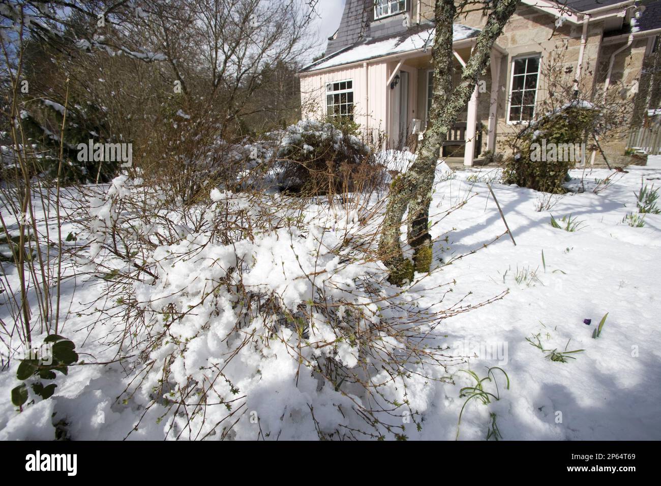 Verschneiter Wintergarten mit Haus dahinter Stockfoto