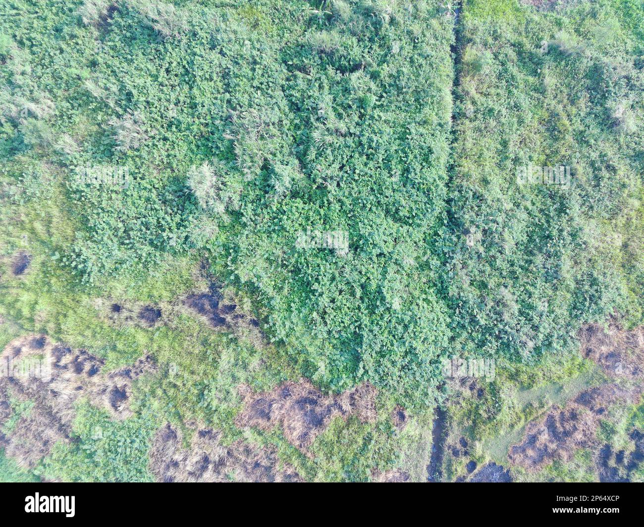 Luftaufnahme von Landkarten mit einem unbemannten Luftfahrzeug in Bogor, Indonesien. Stockfoto