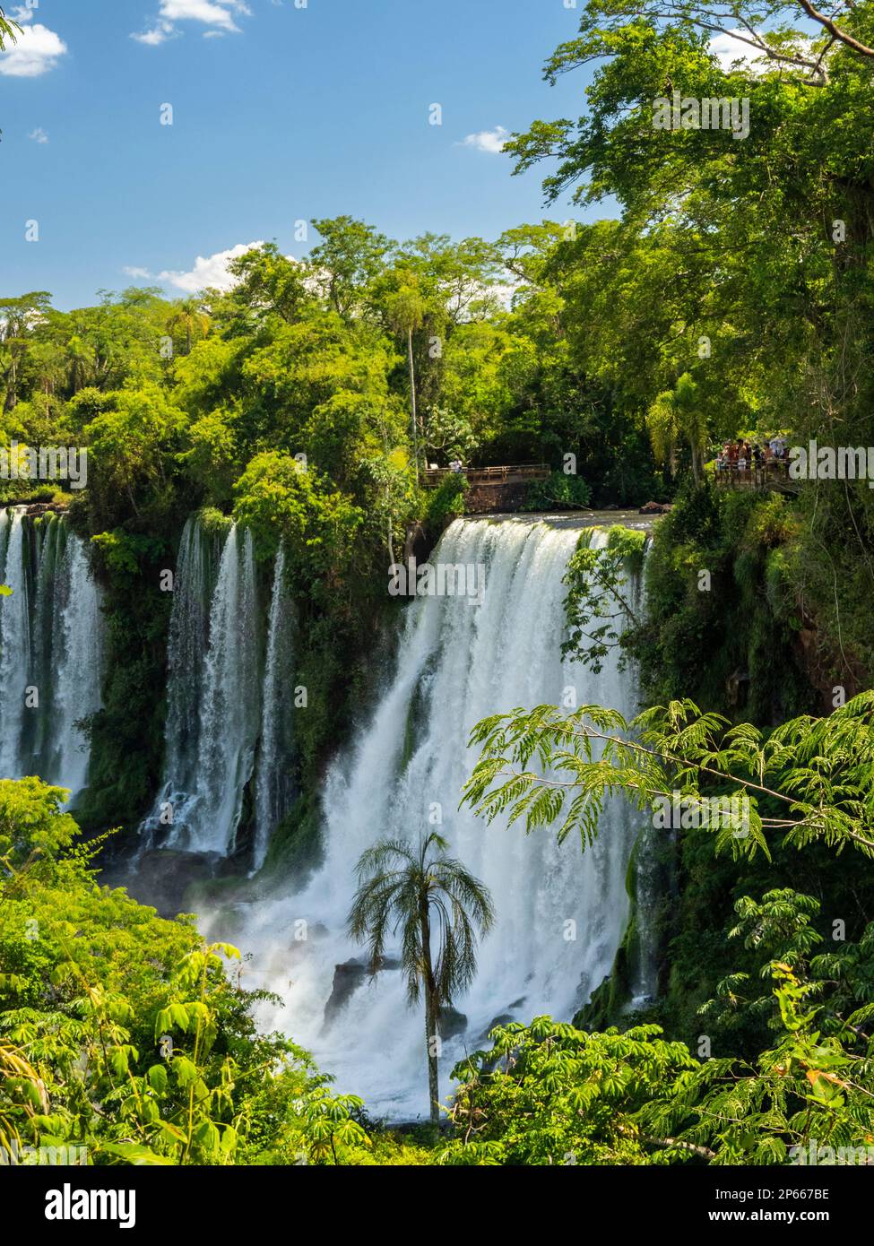 Ein Blick von der unteren Strecke an den Iguazu-Fällen, UNESCO-Weltkulturerbe, Provinz Misiones, Argentinien, Südamerika Stockfoto