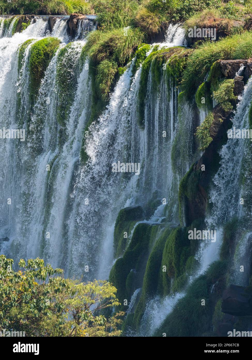 Ein Blick von der unteren Strecke an den Iguazu-Fällen, UNESCO-Weltkulturerbe, Provinz Misiones, Argentinien, Südamerika Stockfoto
