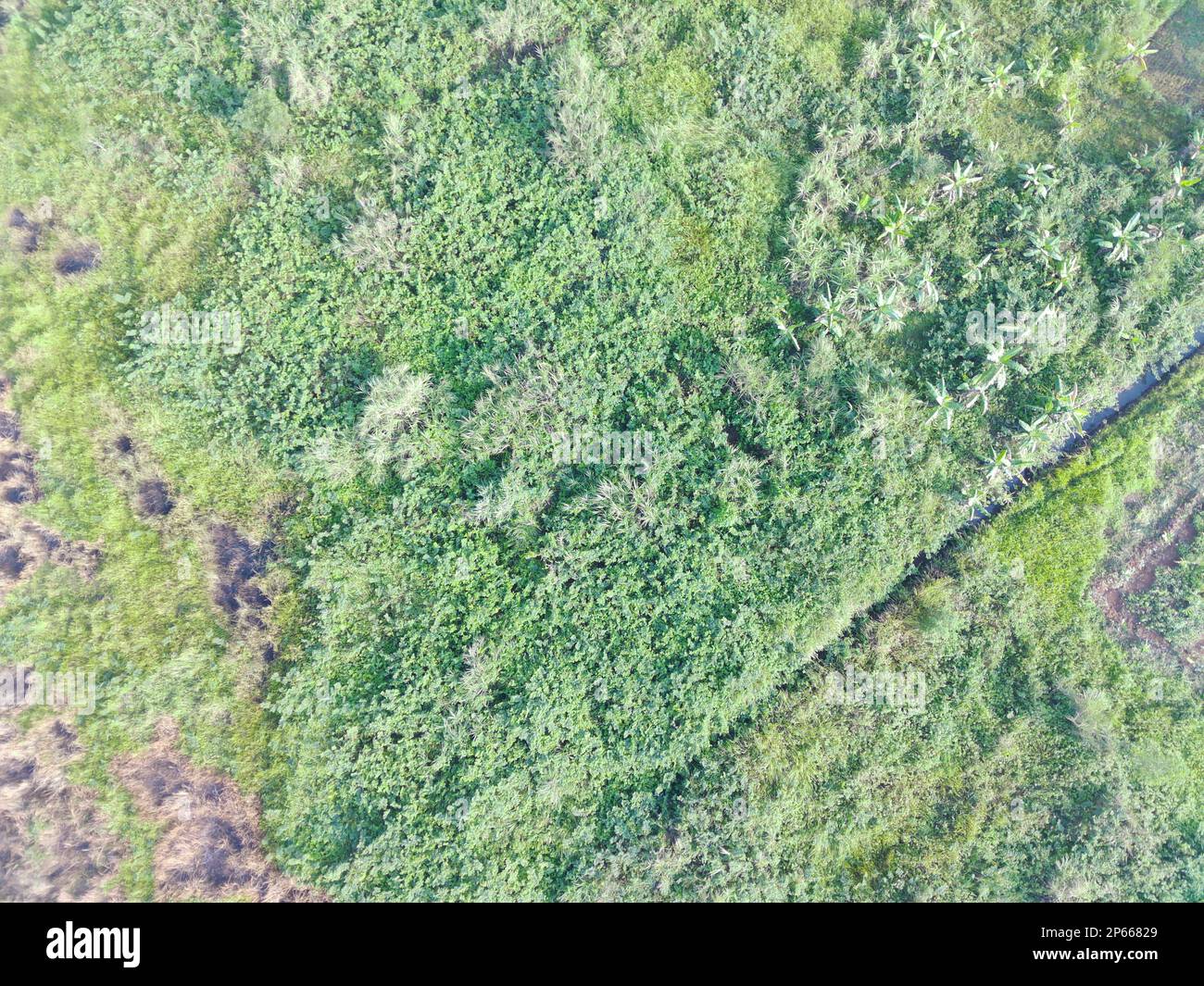 Luftaufnahme von Landkarten mit einem unbemannten Luftfahrzeug in Bogor, Indonesien. Stockfoto