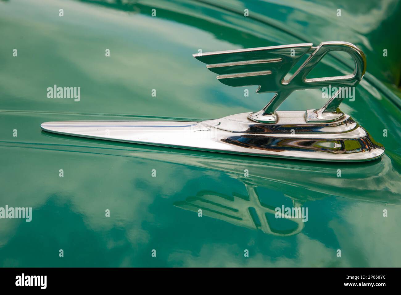 Fliegendes „A“-Emblem auf der Motorhaube eines dunkelgrünen Austin A35-Autos mit seiner Reflektion in der glänzenden Lackierung Stockfoto