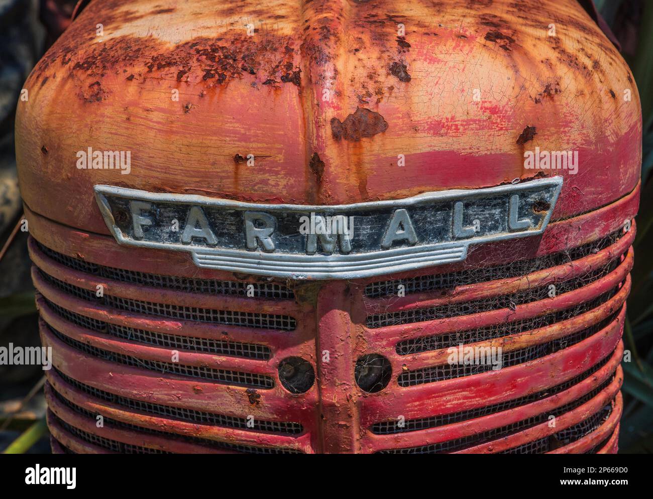 Vorderteil eines alten rostigen roten International Harvester Farmall-Traktors um 1950 Stockfoto