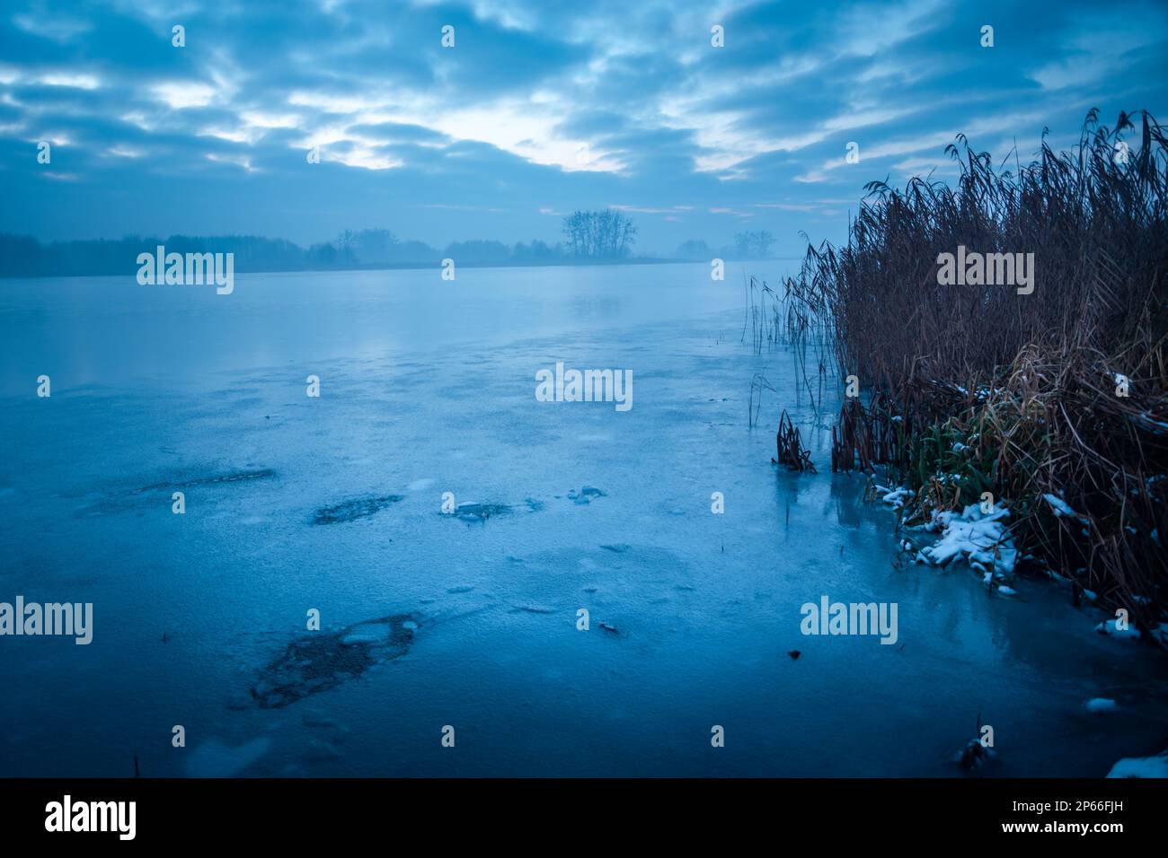 Blick auf einen gefrorenen See mit Schilf an einem nebligen Abend, Stankow, Lubelskie, Polen Stockfoto