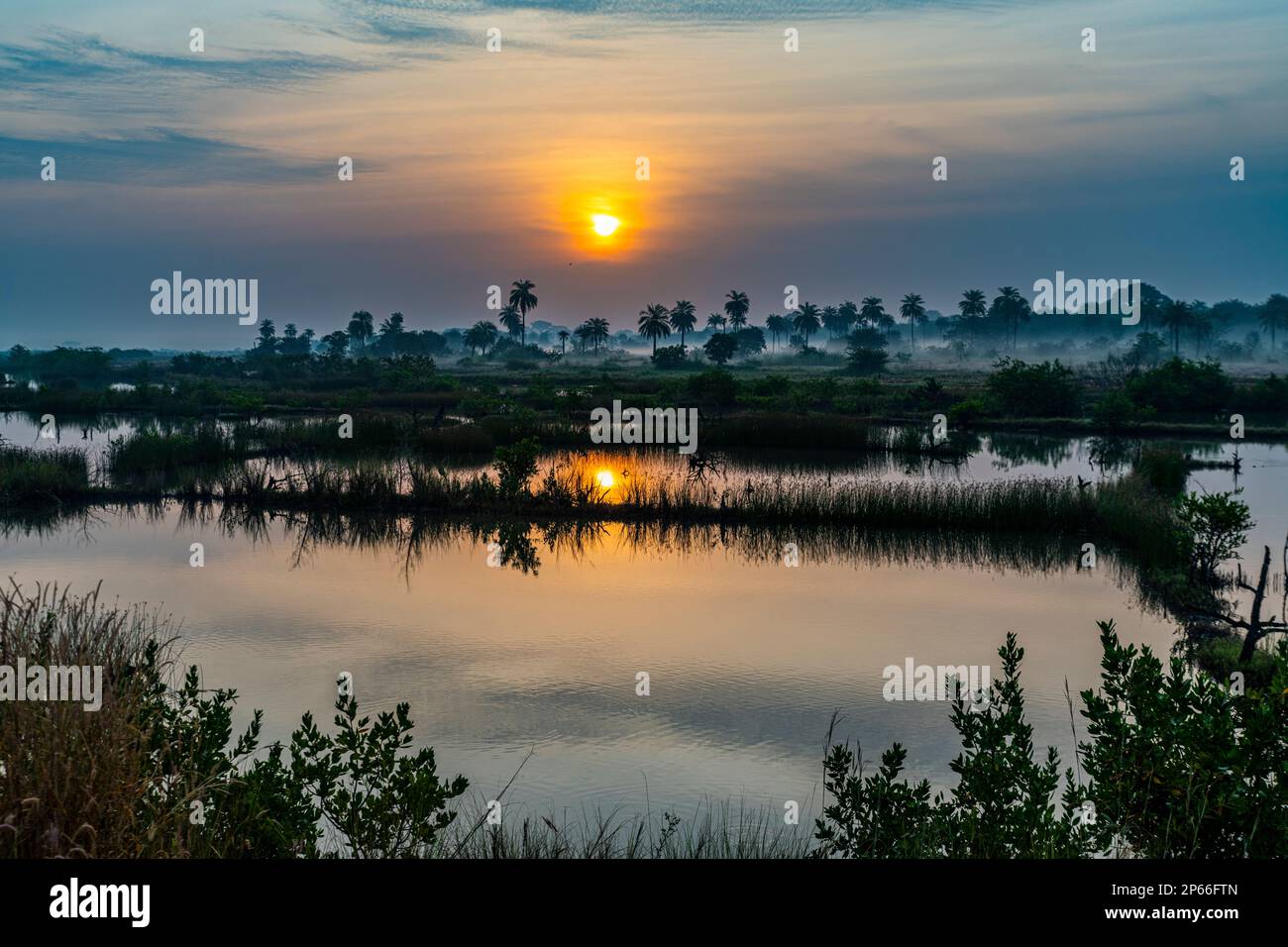 Sonnenaufgang in der Casamance, Senegal, Westafrika, Afrika Stockfoto