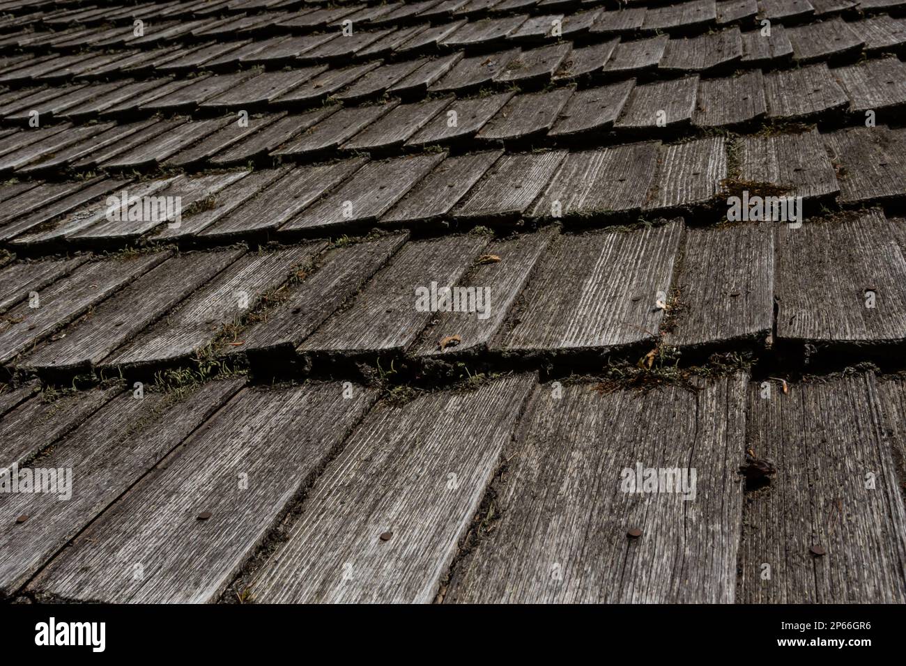 Perspektivische Dachstruktur aus Holz – Alte Dachstruktur aus Holz. Stockfoto
