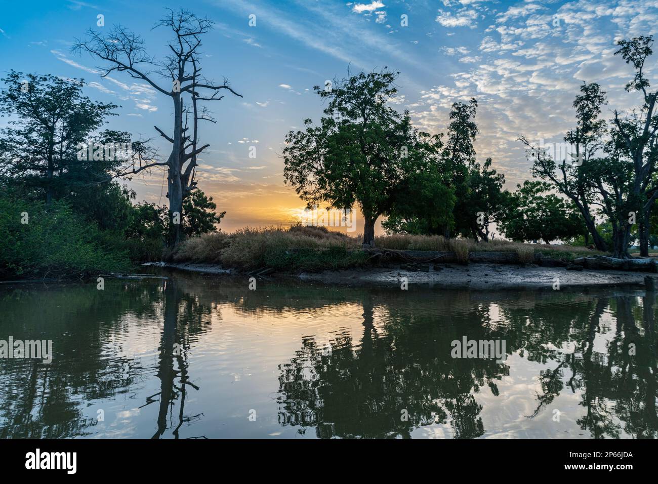 Morgenlicht im Fluss Gambia National Park, Gambia, Westafrika, Afrika Stockfoto
