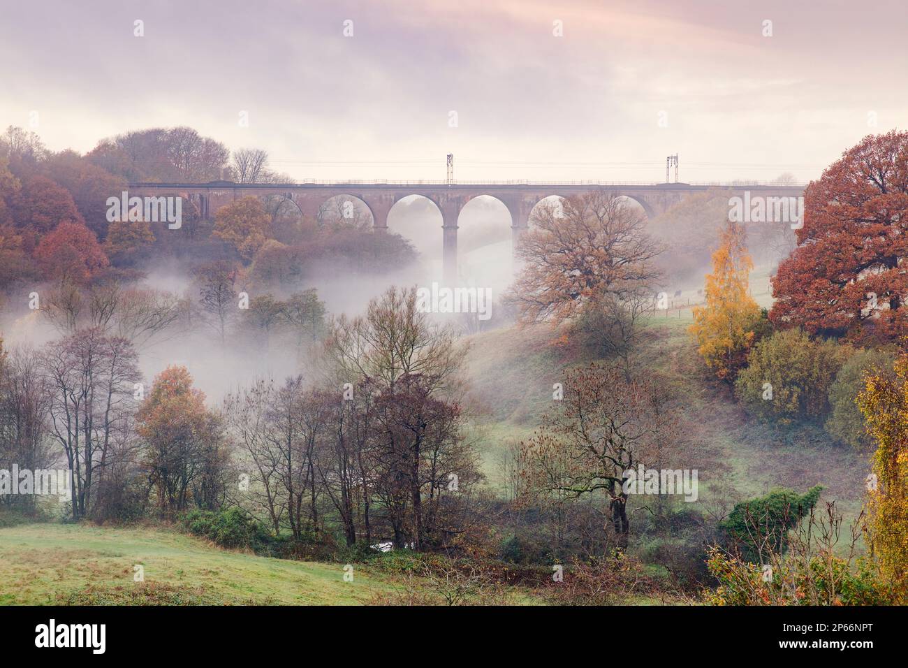 Morgennebel zwischen herbstfarbenen Bäumen und Eisenbahnviadukt auf der Dane-in-Shaw-Weide, Cheshire, England, Großbritannien, Europa Stockfoto