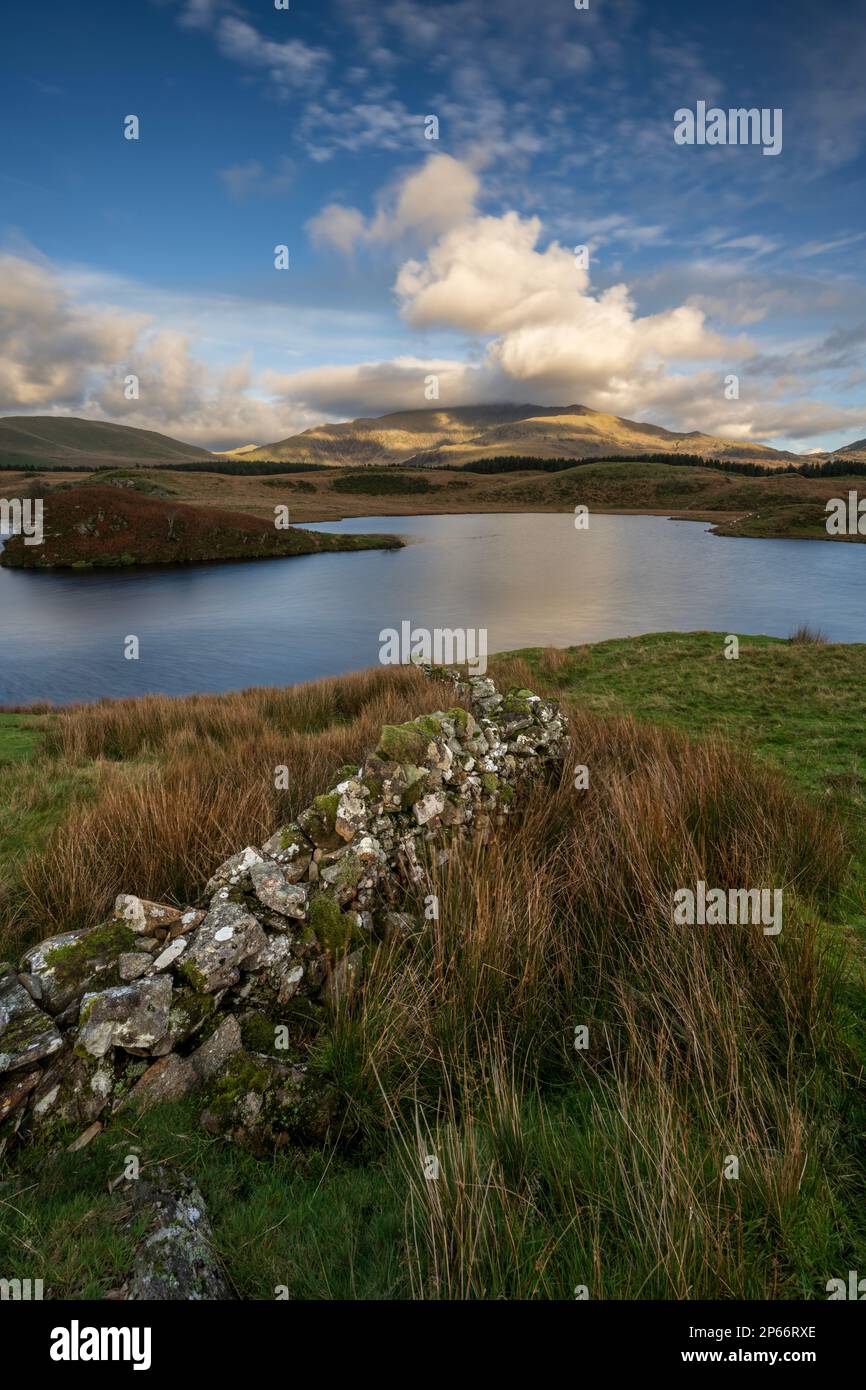 Blick über den See zum Mount Snowdon in Llyn Y Dywarchen im Snowdonia National Park, Wales, Großbritannien, Europa Stockfoto