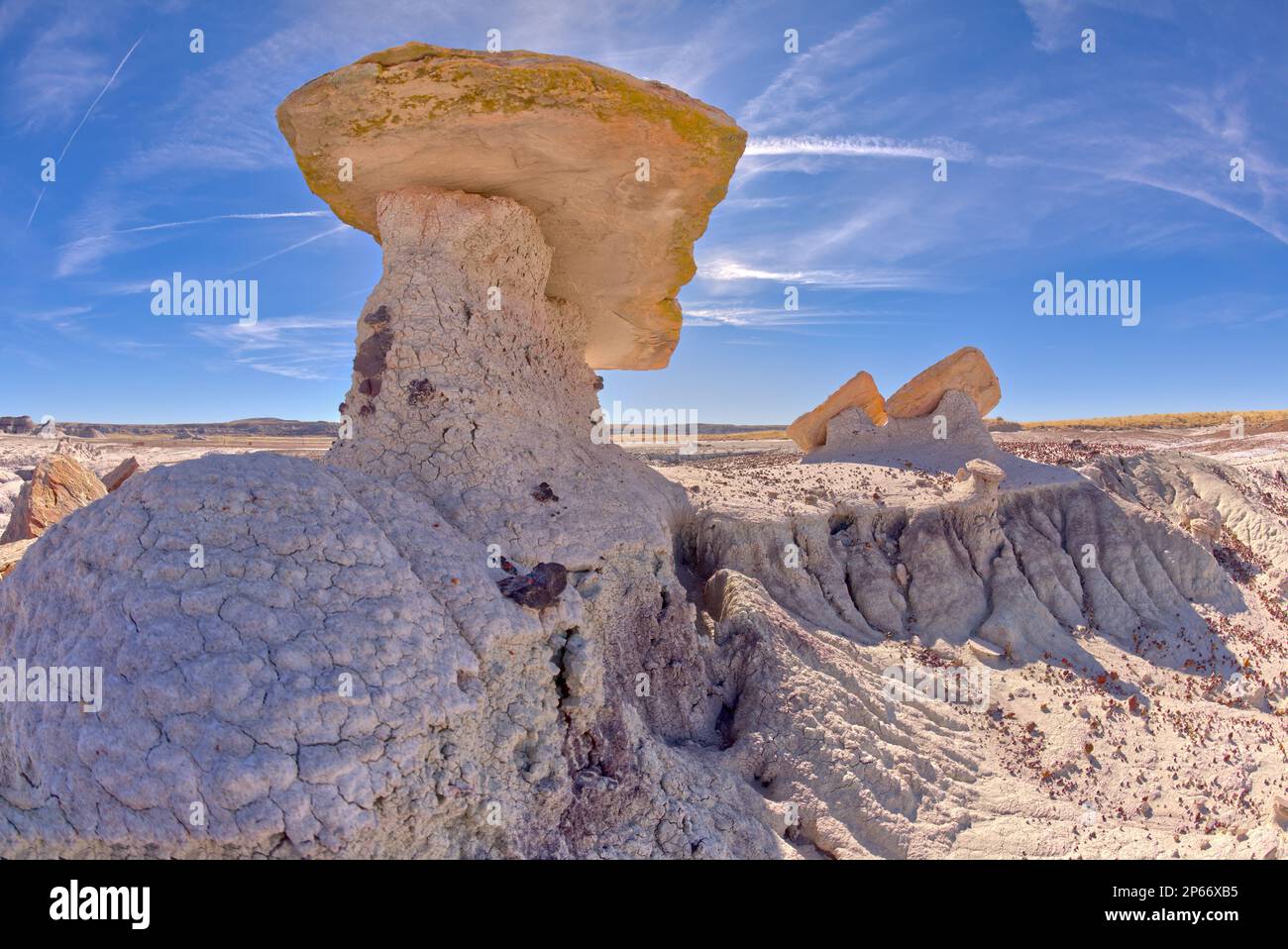 Steinplatten entlang des Red Basin Trail, die als „Tabletops“ bezeichnet werden, befinden sich im Petrified Forest National Park, Arizona, USA, Nordamerika Stockfoto