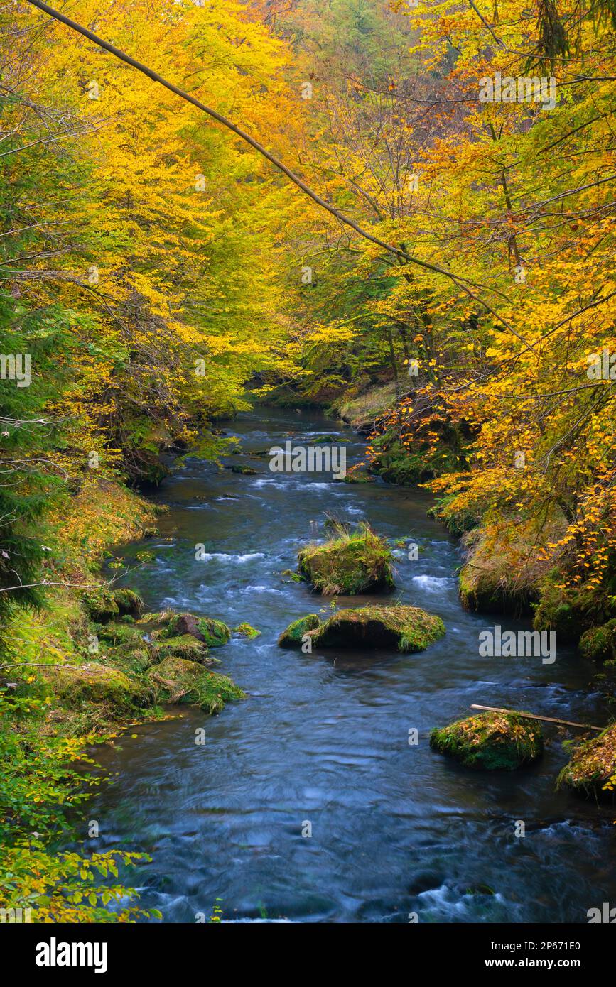 Kamenice River im Herbst, Nationalpark Böhmische Schweiz, Hrensko, Decin District, Usti nad Labem Region, Tschechische Republik (Tschechien), Europa Stockfoto