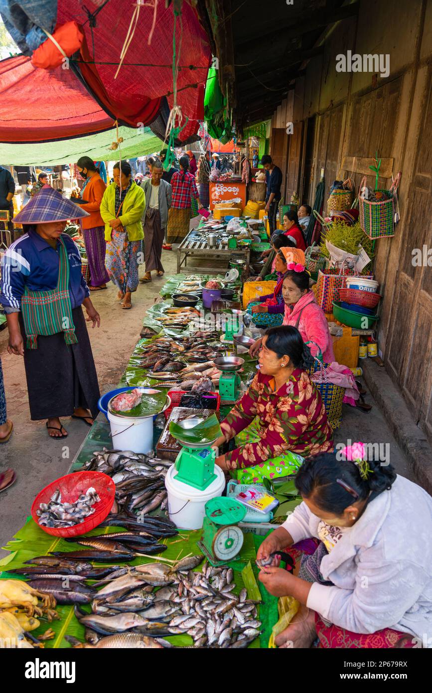 Birmanische Frauen, die Fisch auf dem lokalen Markt verkaufen, Inle-See, Nyaungshwe, Shan State, Myanmar (Birma), Asien Stockfoto
