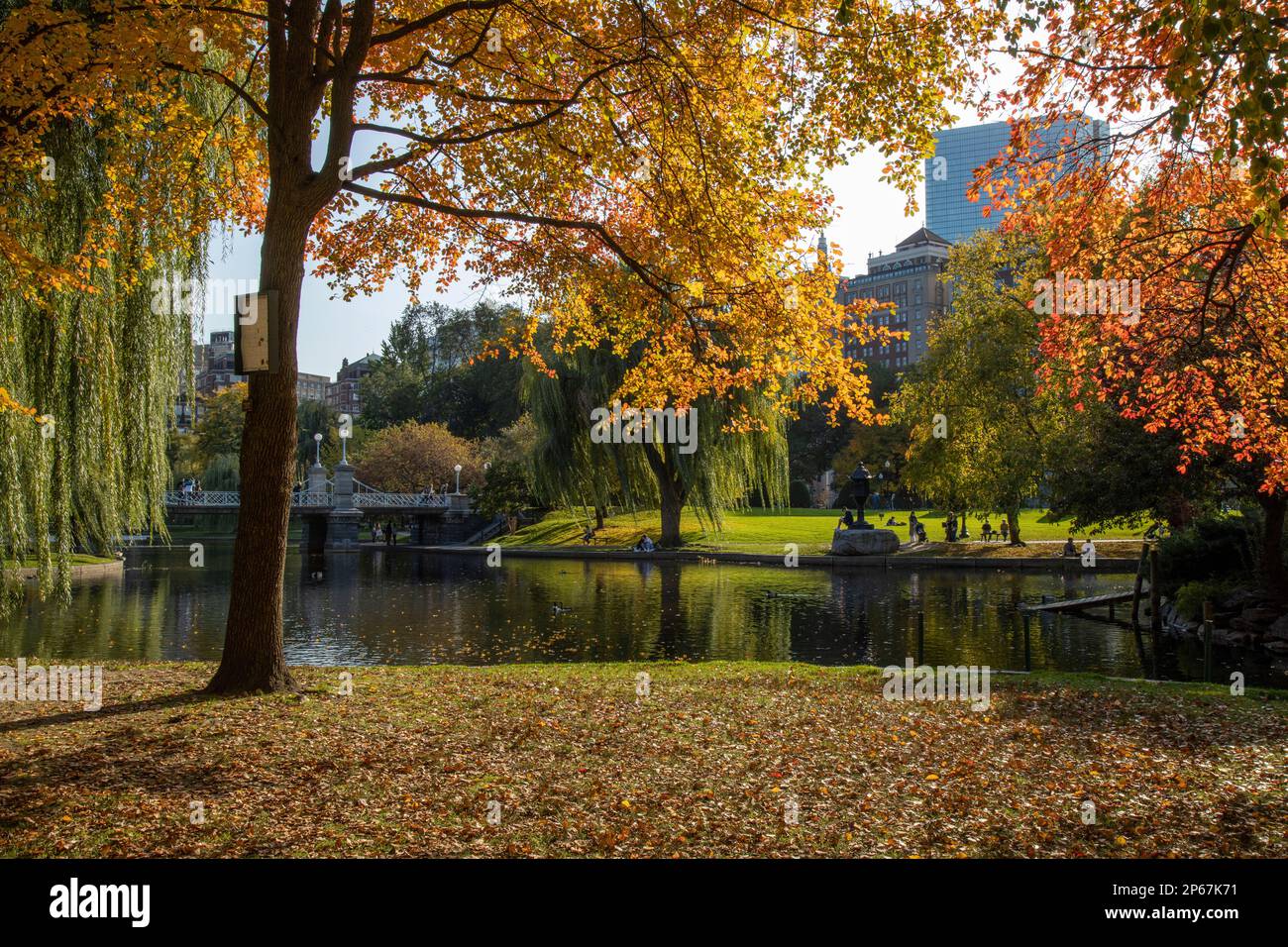 Herbst in Bostons Public Garden, Boston, Massachusetts, New England, Vereinigte Staaten von Amerika, Nordamerika Stockfoto