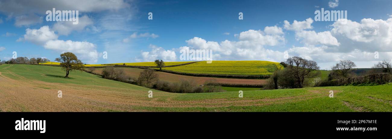 Panoramaaussicht, Dart Valley, Totnes, Devon, England, Großbritannien, Europa Stockfoto