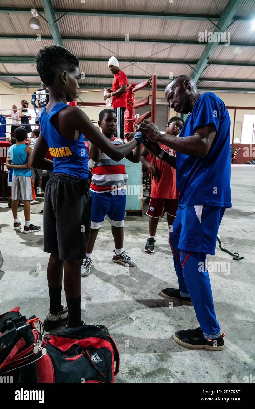 Junger Boxer wird von Trainer, Boxer-Akademie Trejo, Havanna, Kuba, West Indies, Karibik, Mittelamerika Stockfoto