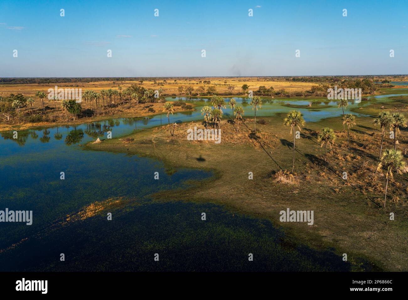 Das Okavango-Delta, das zum UNESCO-Weltkulturerbe gehört, Botsuana, Afrika aus der Vogelperspektive Stockfoto