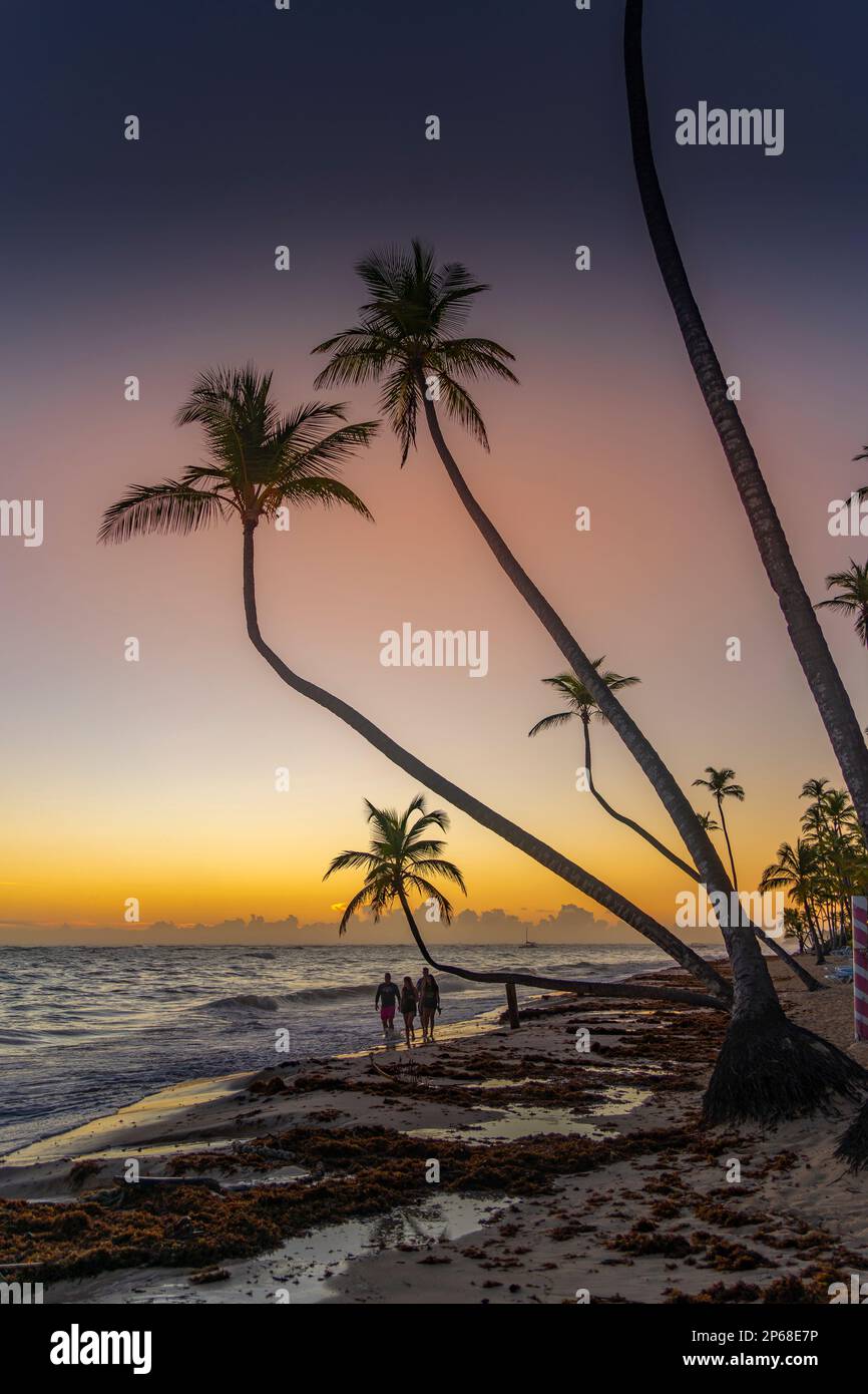 Blick auf Meer, Strand und Palmen bei Sonnenaufgang, Bavaro Beach, Punta Cana, Dominikanische Republik, Westindischen Inseln, Karibik, Mittelamerika Stockfoto