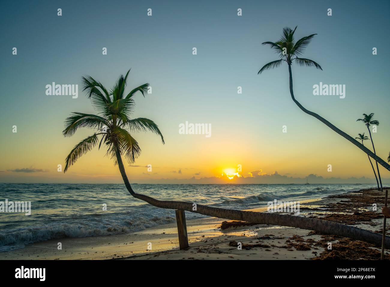 Blick auf Meer, Strand und Palmen bei Sonnenaufgang, Bavaro Beach, Punta Cana, Dominikanische Republik, Westindischen Inseln, Karibik, Mittelamerika Stockfoto