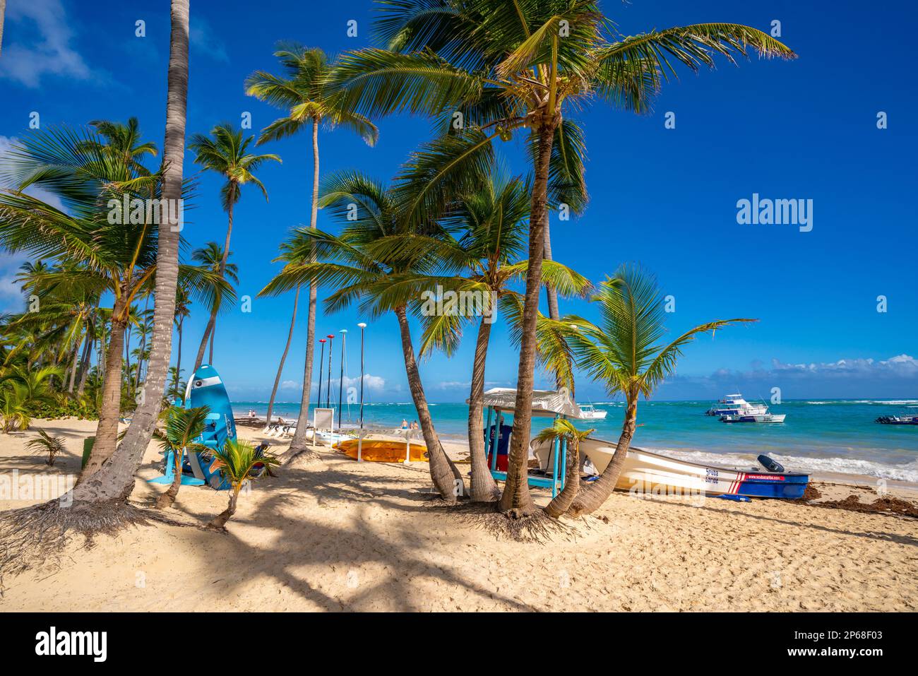 Blick auf Meer, Strand und Palmen an einem sonnigen Tag, Bavaro Beach, Punta Cana, Dominikanische Republik, Westindischen Inseln, Karibik, Mittelamerika Stockfoto