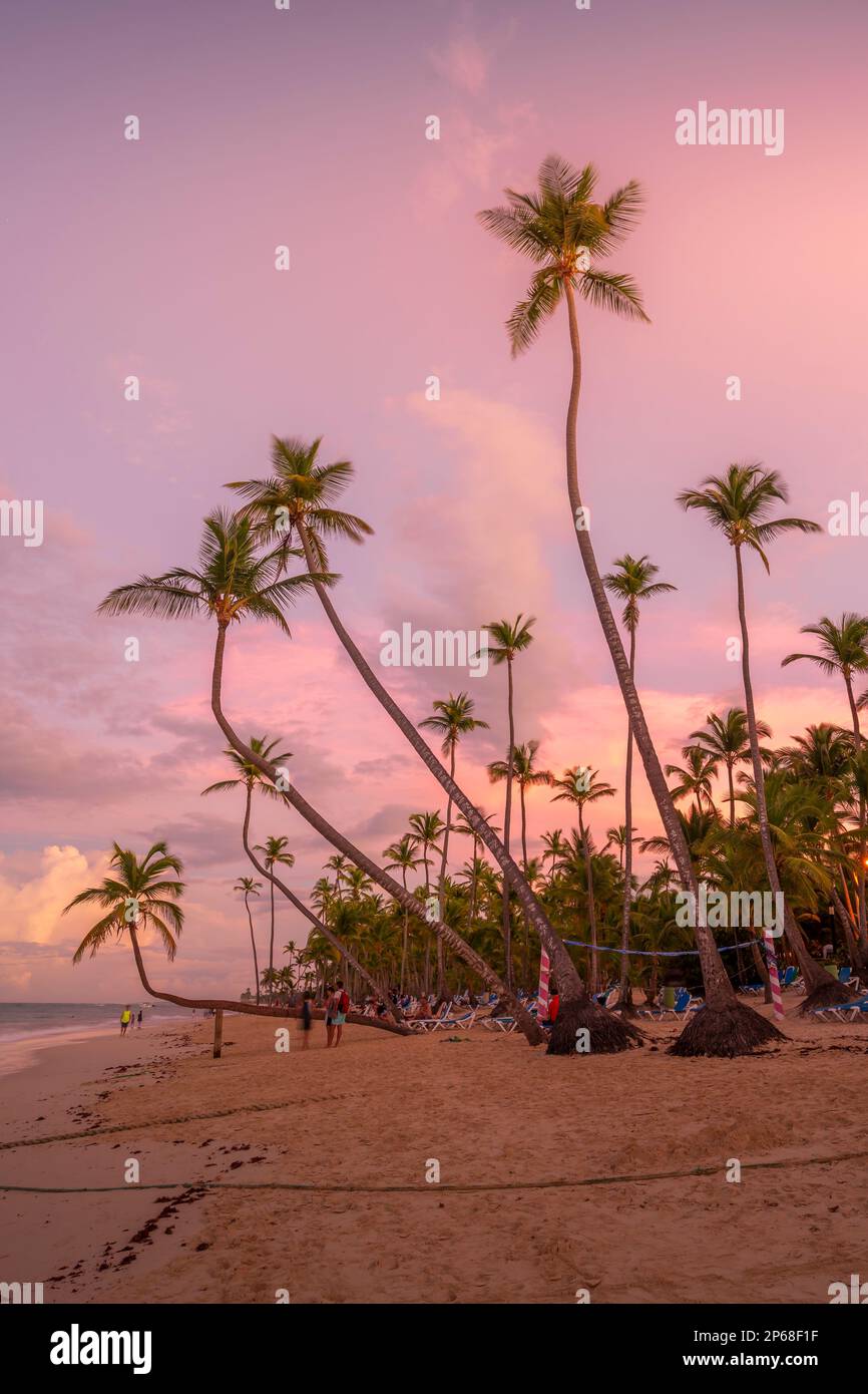 Blick auf Palmen und Meer am Bavaro Beach bei Sonnenuntergang, Punta Cana, Dominikanische Republik, Westindischen Inseln, Karibik, Mittelamerika Stockfoto