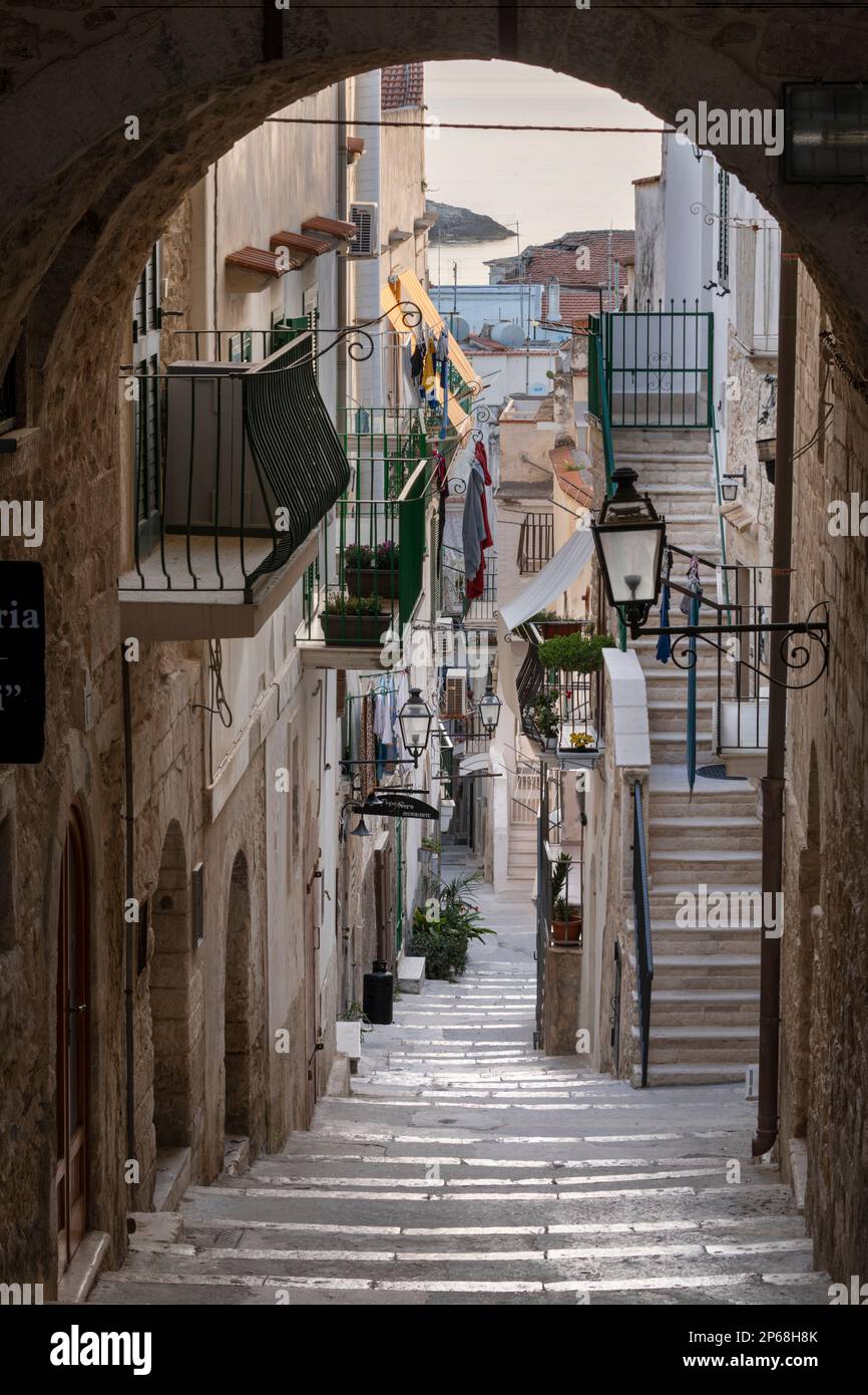 Enge Straße und steile Stufen der Via Celestino V am frühen Morgen, Vieste, Gargano-Halbinsel, Provinz Foggia, Apulien, Italien, Europa Stockfoto