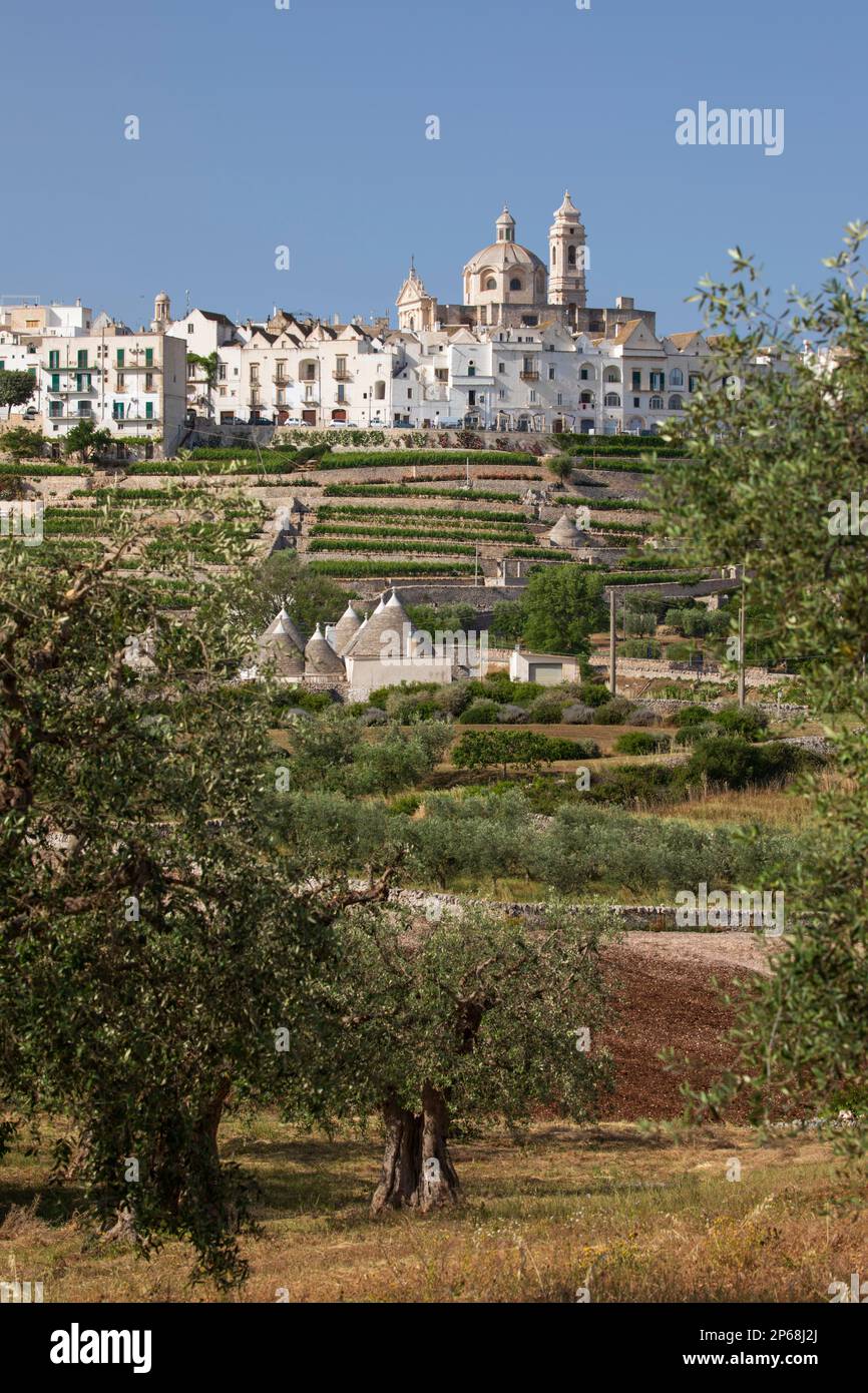 Locorotondo Stadt auf einem Hügel mit Trulli Häusern und Olivenhain im Valle d'Itria, Locorotondo, Apulien, Italien, Europa Stockfoto