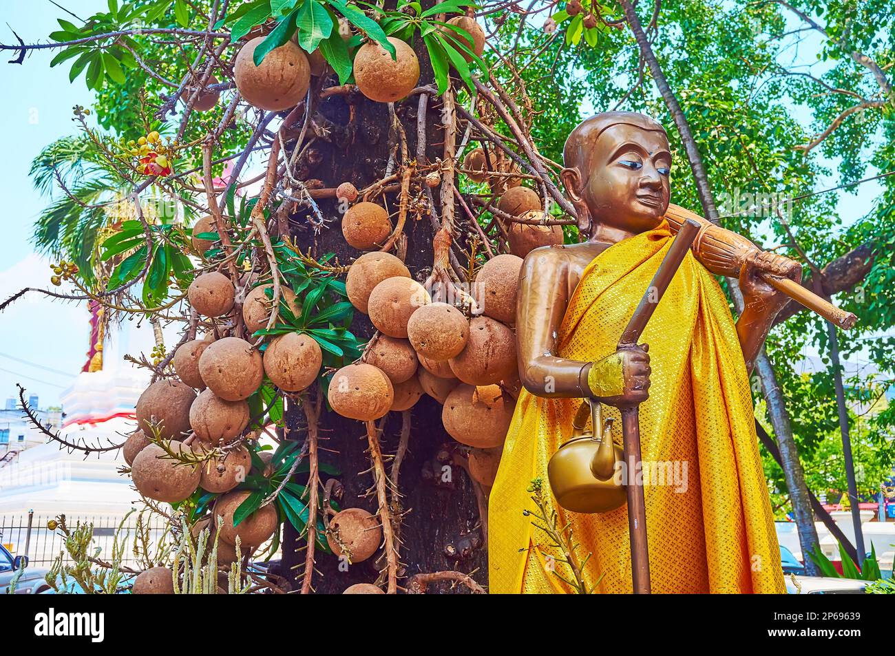 Der kleine Buddha-Schrein vor dem Kanonenkugel-Baum mit vielen Früchten, Wat Si Koet, Chiang Mai, Thailand Stockfoto