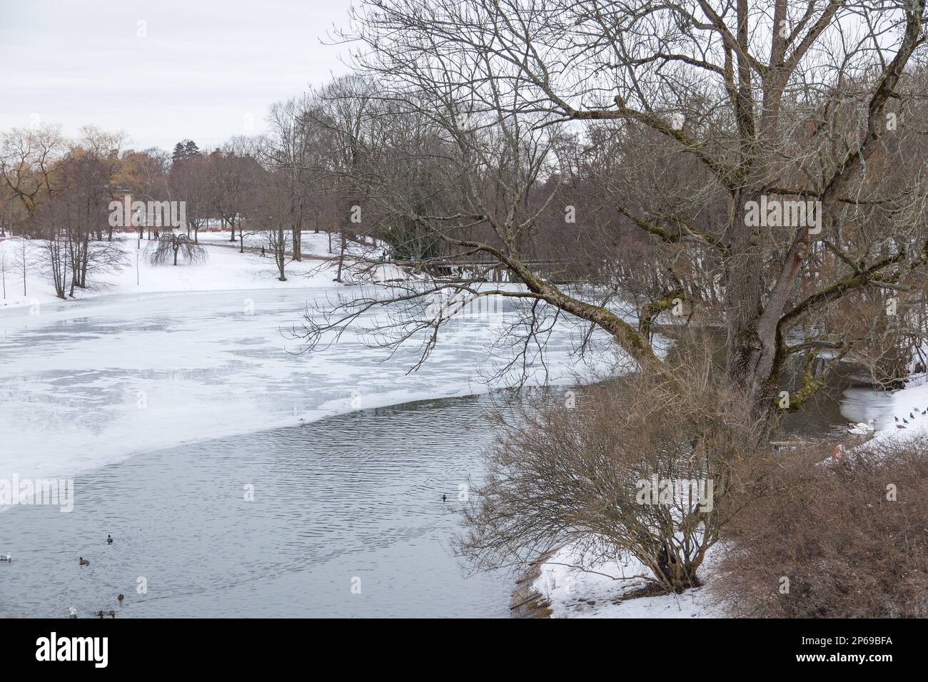 Frogner Park Pond im Winter, öffentlicher Park in der Hauptstadt. Oslo, Norwegen. Stockfoto