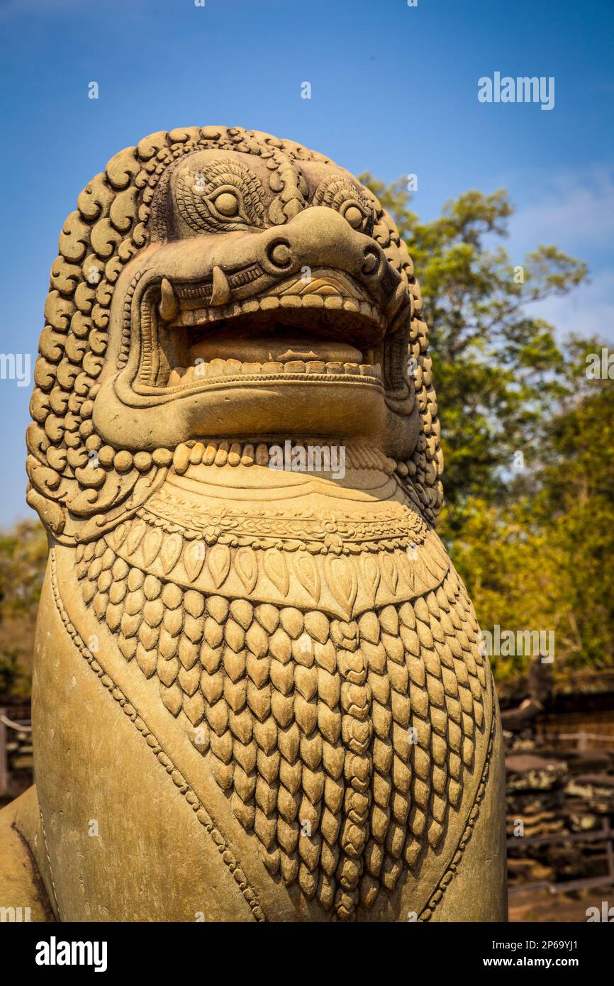 Mystische Diät in Ta Prohm Stockfoto