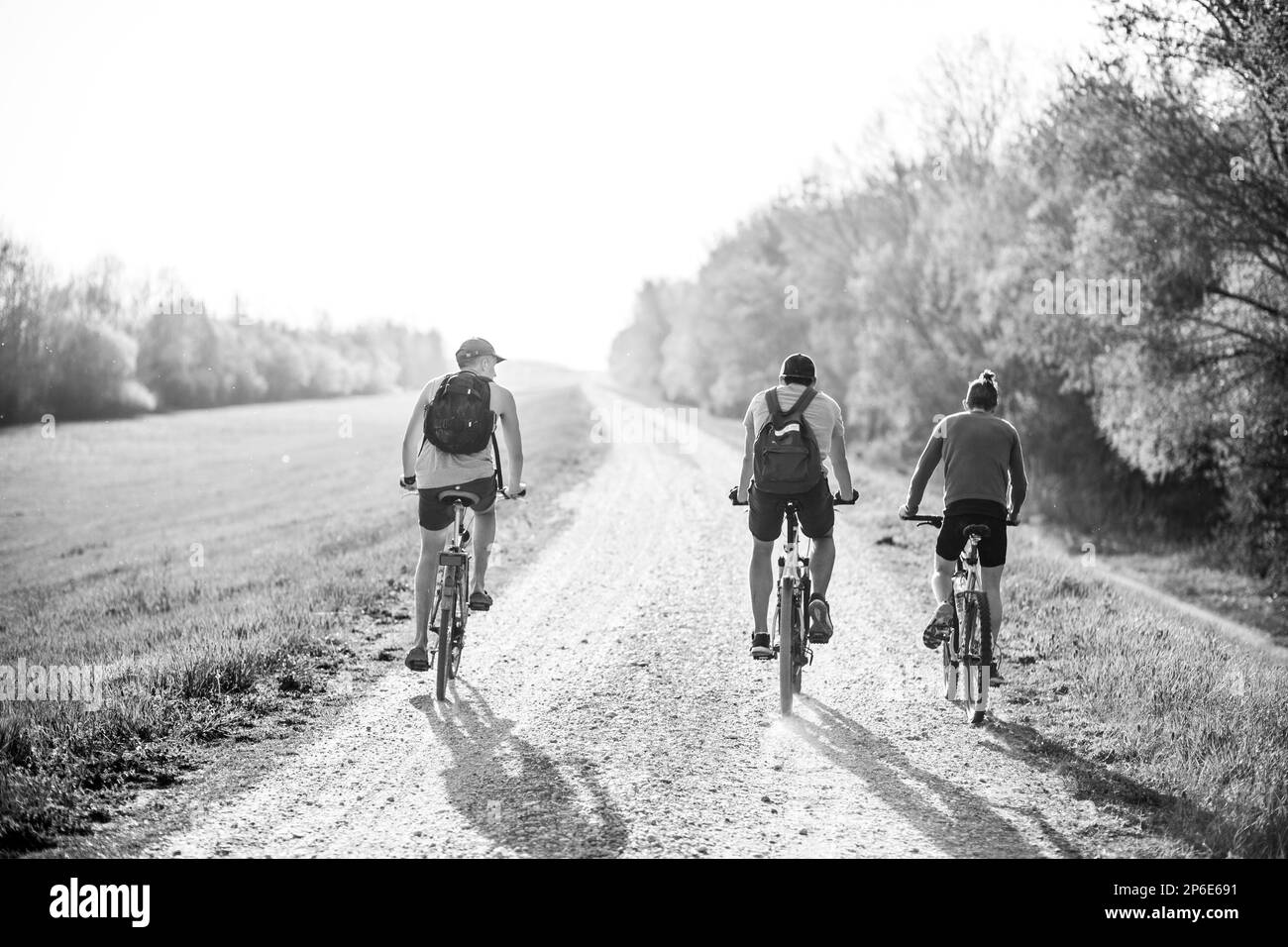 Drei Menschen unterschiedlichen Geschlechts radeln auf einer Landstraße und genießen die wunderschöne Landschaft, die die Natur zu bieten hat Stockfoto