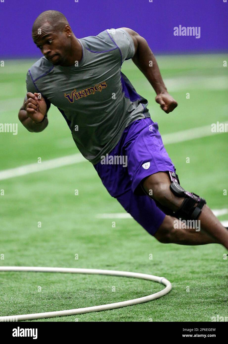 Minnesota Vikings NFL football running back Adrian Peterson does a running exercise around a large hoop on the ground in front of the media after months of recovery, Wednesday, May 9, 2012, at Winter Park in Eden Prairie, Minn. Peterson tore the anterior cruciate and medial collateral ligaments in a game Dec. 24, 2011. (AP Photo/Star Tribune, Renee Jones Schneider) Stockfoto