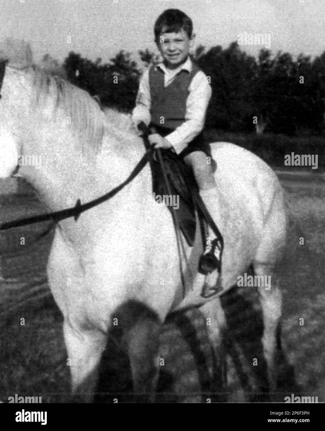 1968 : der italienische Fernsehstar und Radio-DJ AMADEUS ( geb. Amedeo Sebastiani , Ravenna , 4 . september 1962 ) Wann war ein Kind im Alter von 5 Jahren - TELEVISIONE - Presentation - Portrait - Rituto - personalità da giovane bambino da Piccolo - Persönlichkeitspersönlichkeiten Prominente, als kleine Jungen Kinder - Pferd - cavallo ---- - ARCHIVIO GBB Stockfoto