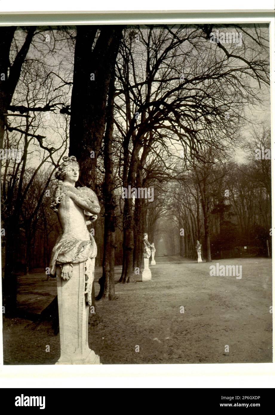 Jean Eugène Auguste Atget, Versailles, c. 1922, Albumsilberdruck auf Druckpapier. Stockfoto