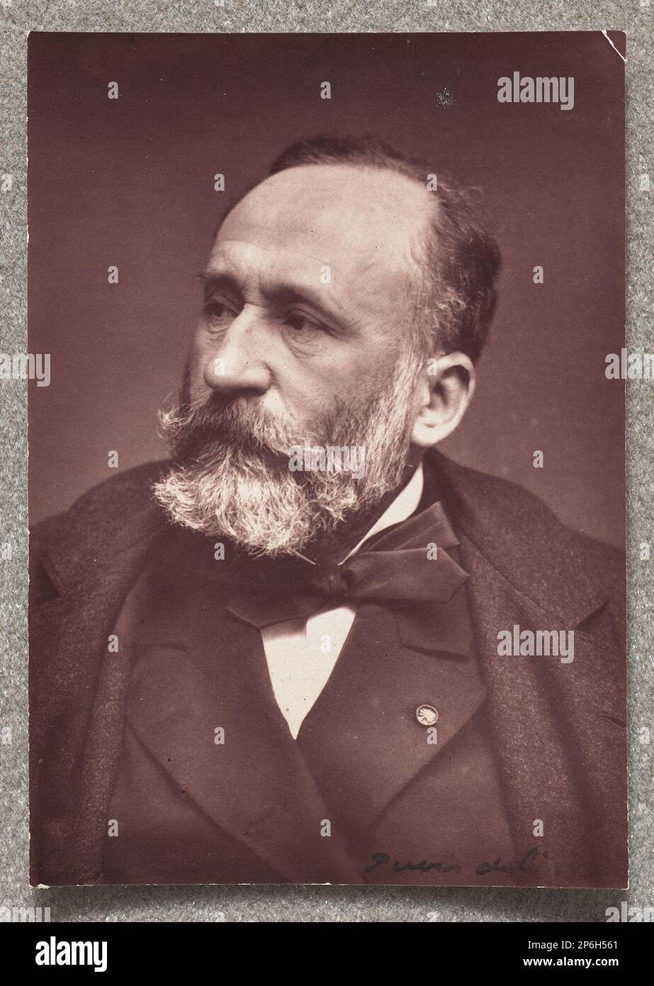 Etienne Carjat, Puvis de Chavannes, Holzburstin. Stockfoto