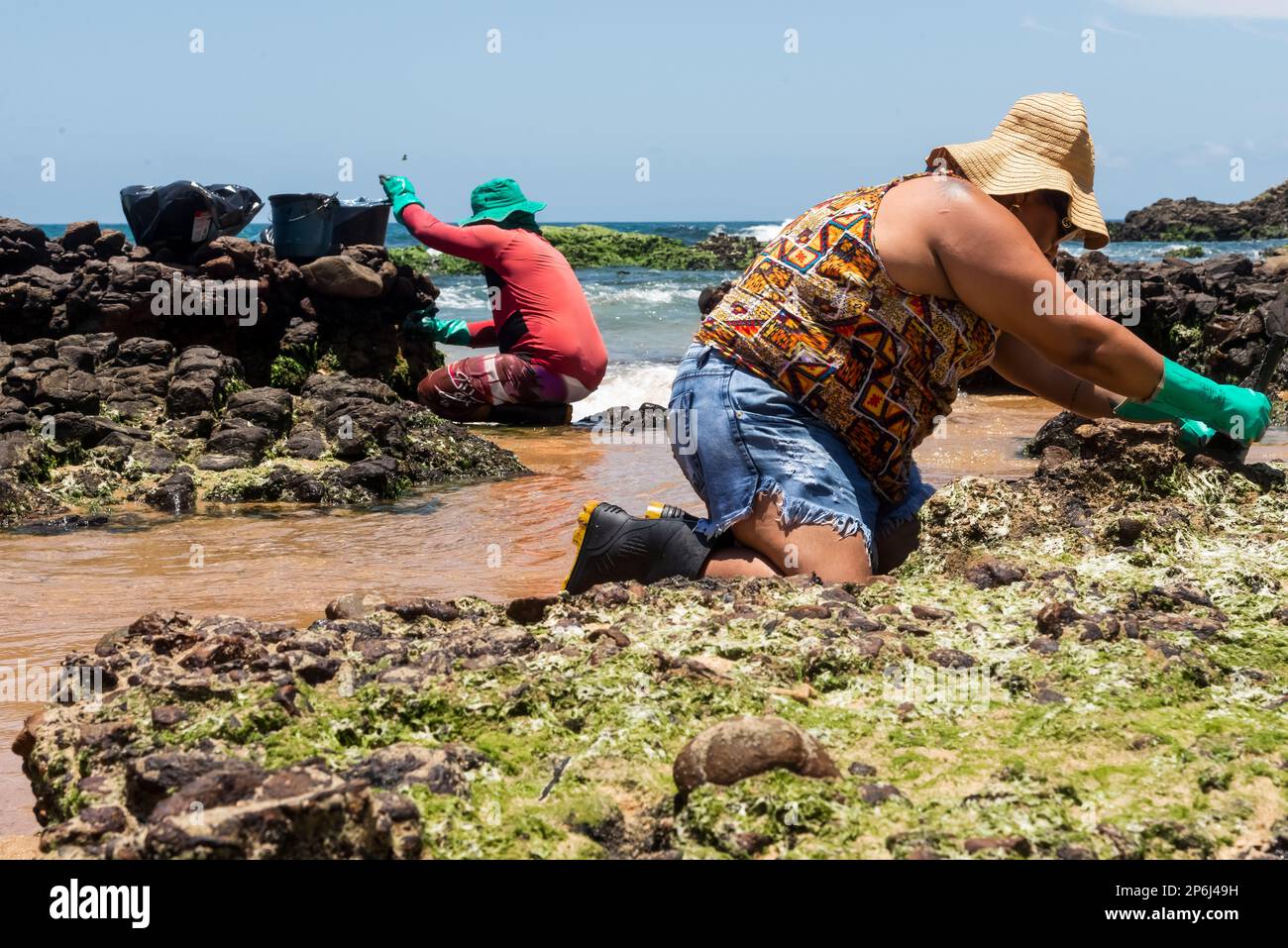 Salvador, Bahia, Brasilien - 27. Oktober 2019: Zwei Freiwillige reinigen den Strand von Rio Vermelho nach einer Ölpest durch ein Schiff vor der brasilianischen Küste. S Stockfoto