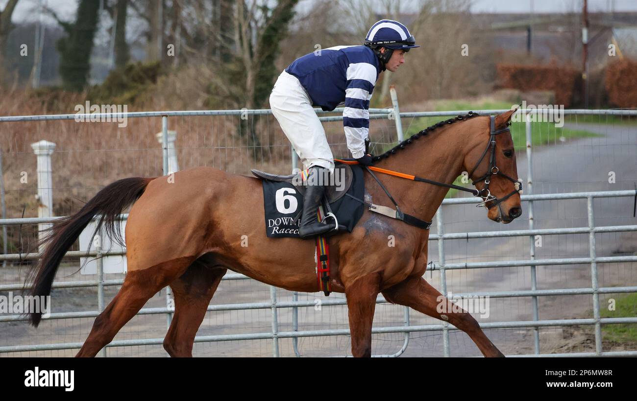 2023 Down Royal Racecourse Lisburn Nordirland. 24. Januar 2023, Aspall Handicap Chase. Rennpferd Bidentime (6), geritten von Jockey Richard Deegan und ausgebildet von Liam P Cusack. Stockfoto