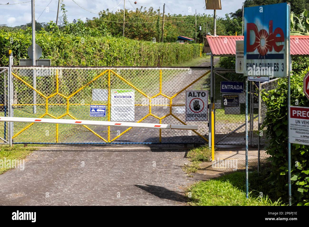 Cariari, Costa Rica - der Eingang zu einer Dole Bananenplantage im Nordosten Costa Ricas. Der Zugang zu Bananenplantagen wird streng kontrolliert. Stockfoto