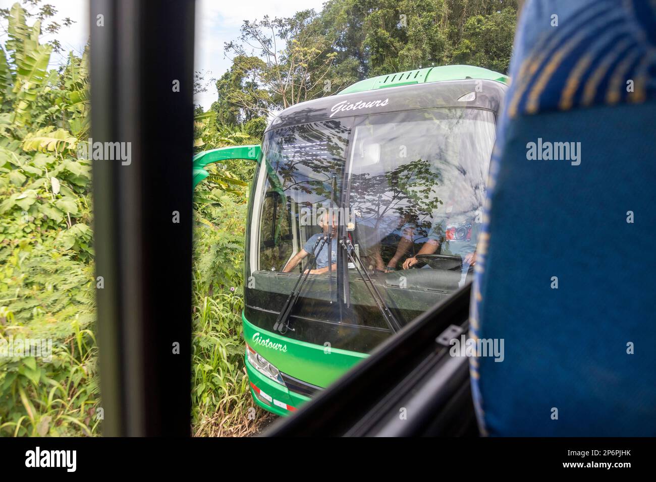 Cariari, Costa Rica: Busse, die Touristen auf einer engen Landstraße befördern. Tourismus. Der Tourismus ist Costa Ricas wichtigste Einkommensquelle und harte Währung. Stockfoto