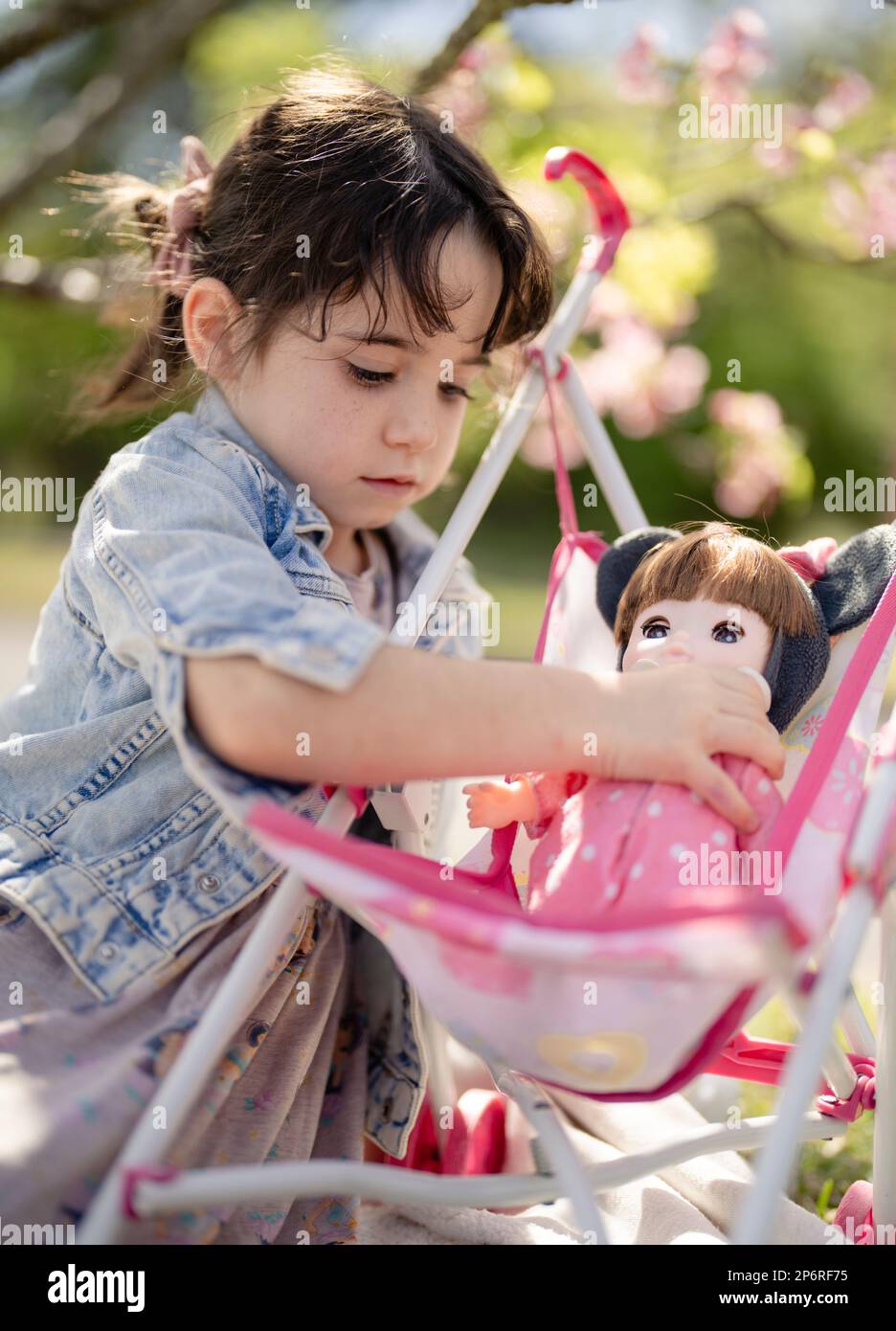 5-jähriges Mädchen spielt mit ihren Puppen im Kinderwagen - elterliche Nachahmung Stockfoto