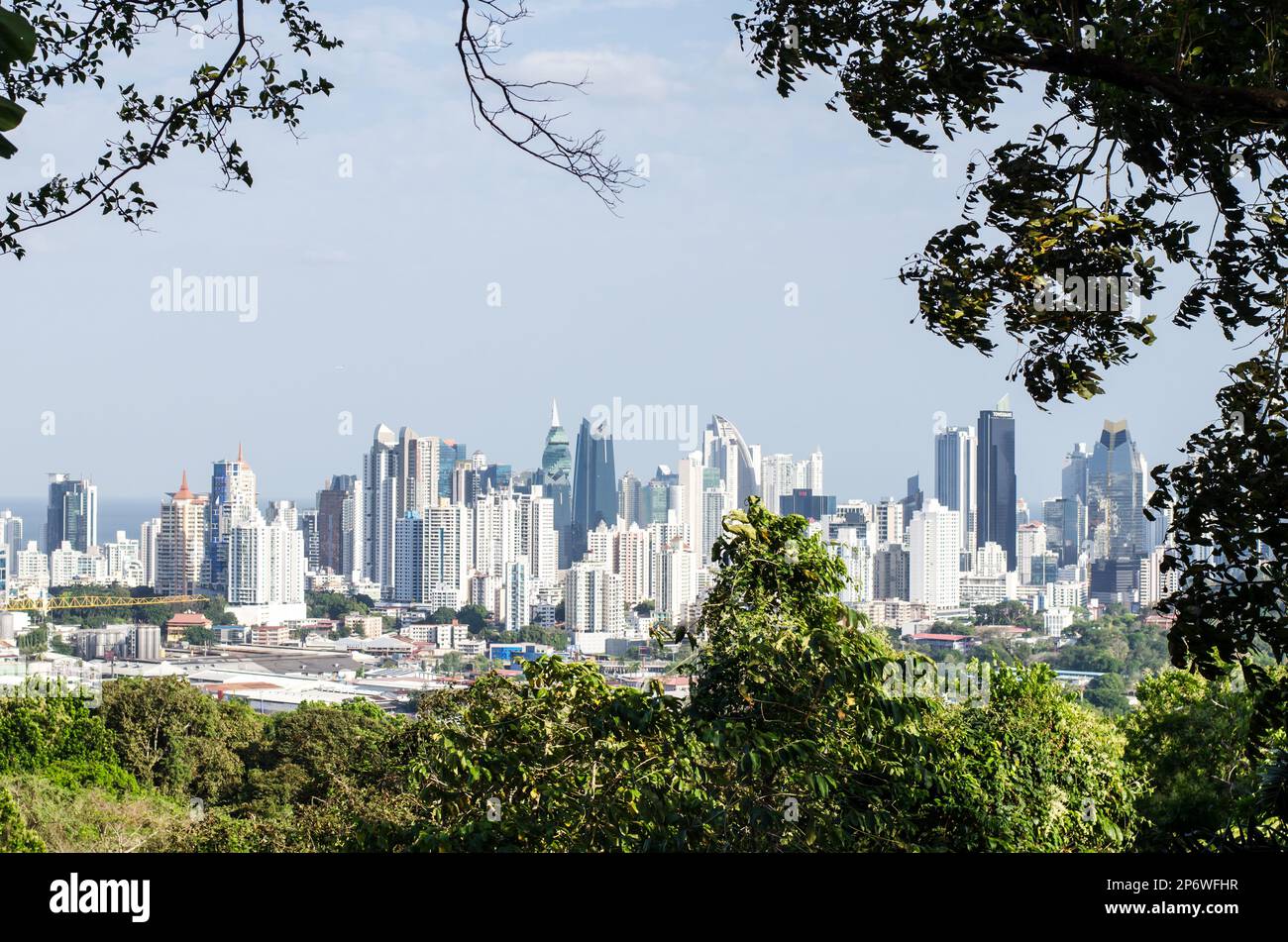 Die Skyline von Panama City vom Metropolitan Natural Park aus gesehen Stockfoto
