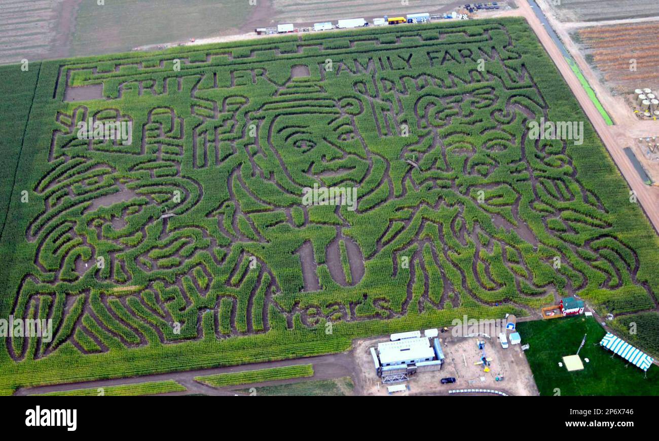 FILE - In this Sept. 9, 2009 photo, an aerial view shows the the Fritzler's Corn MAiZE, between La Salle and Gilcrest, Colo. This year, Glen Fritzler and his family sifted through 400 applications from potential employees to run 20 attractions on the farm's agro-tourism attraction. Fritzler said he works about 14 hours per day while the maze is open, in addition to the more serious business of running 350 acres of his real farm. (AP Photo/Greeley Tribune, Stephanie Burchett) Stockfoto