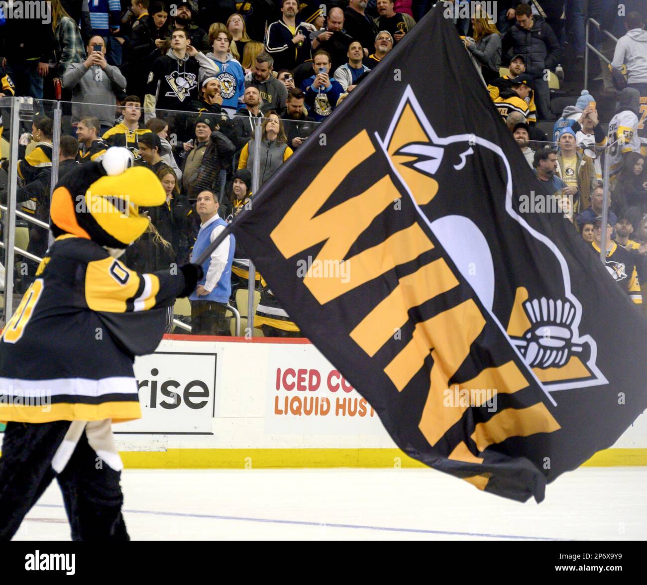 Pittsburgh, Usa. 07. März 2023. IceBurgh, das Maskottchen der Pittsburgh-Pinguine, feiert am Dienstag, den 7. März 2023, in der PPG Paints Arena in Pittsburgh den Überstundengewinn 5-4 gegen die Columbus Blue Jackets. Foto: Archie Carpenter/UPI Credit: UPI/Alamy Live News Stockfoto