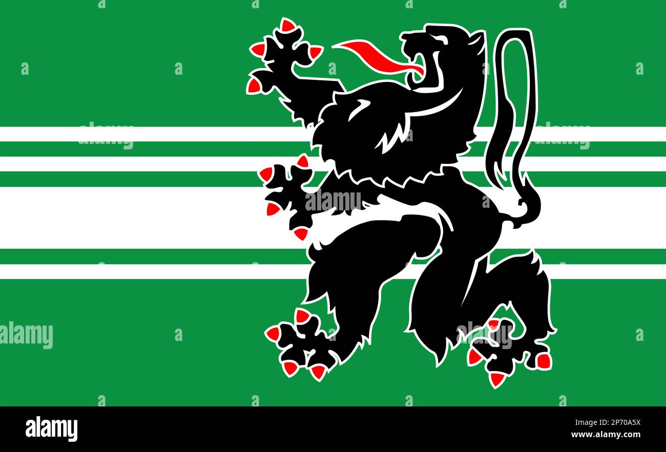 Flagge der Provinz Ostflandern Stockfoto